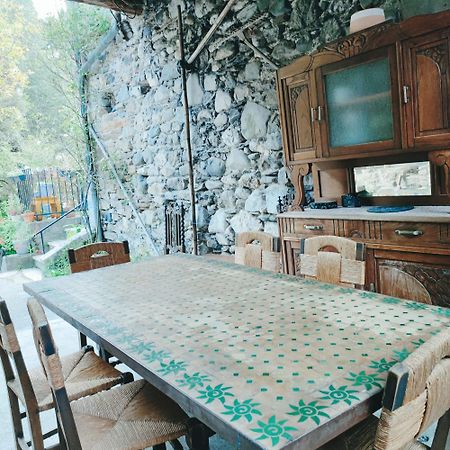 Gite Et Jardin En Bord De Riviere Saumane エクステリア 写真