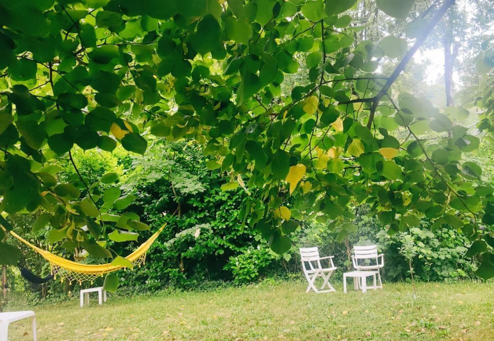 Gite Et Jardin En Bord De Riviere Saumane エクステリア 写真