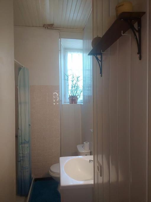 Gite Et Jardin En Bord De Riviere Saumane エクステリア 写真