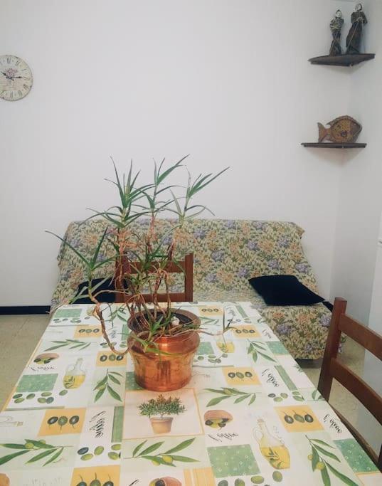 Gite Et Jardin En Bord De Riviere Saumane エクステリア 写真