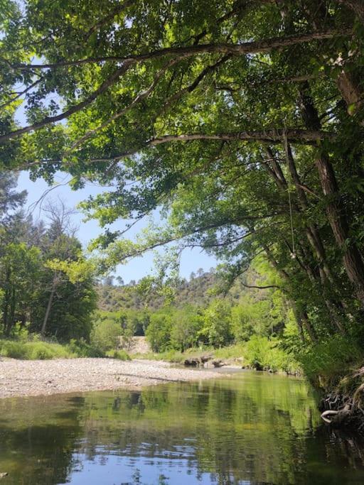 Gite Et Jardin En Bord De Riviere Saumane エクステリア 写真