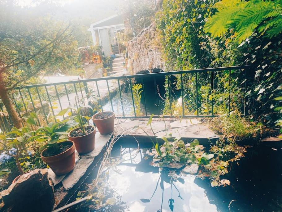 Gite Et Jardin En Bord De Riviere Saumane エクステリア 写真