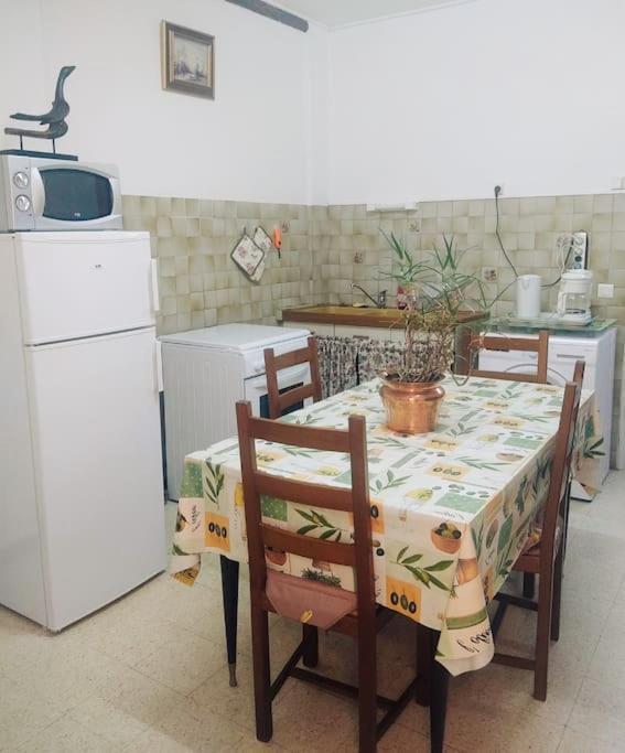 Gite Et Jardin En Bord De Riviere Saumane エクステリア 写真