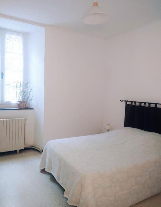 Gite Et Jardin En Bord De Riviere Saumane エクステリア 写真