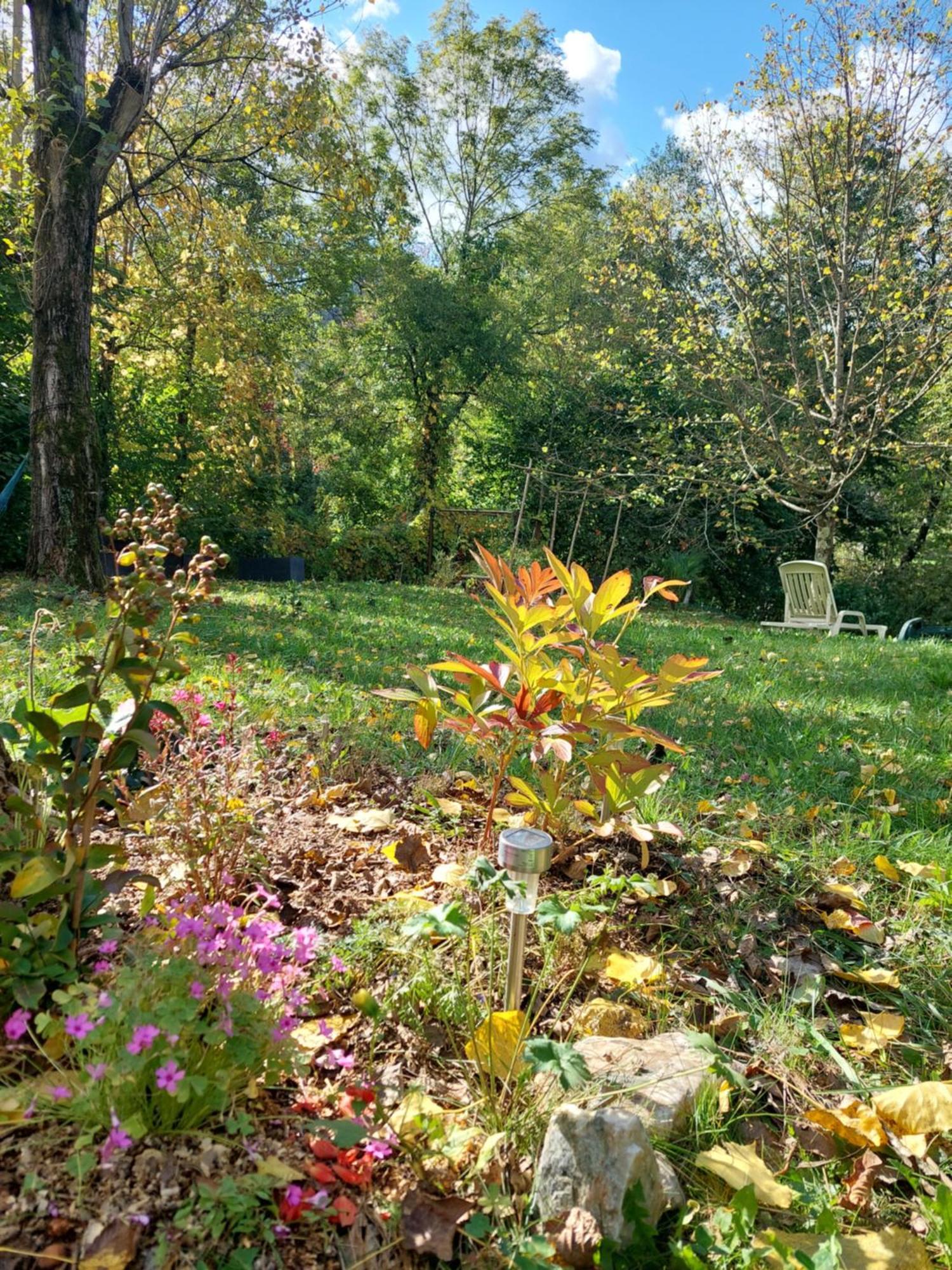 Gite Et Jardin En Bord De Riviere Saumane エクステリア 写真