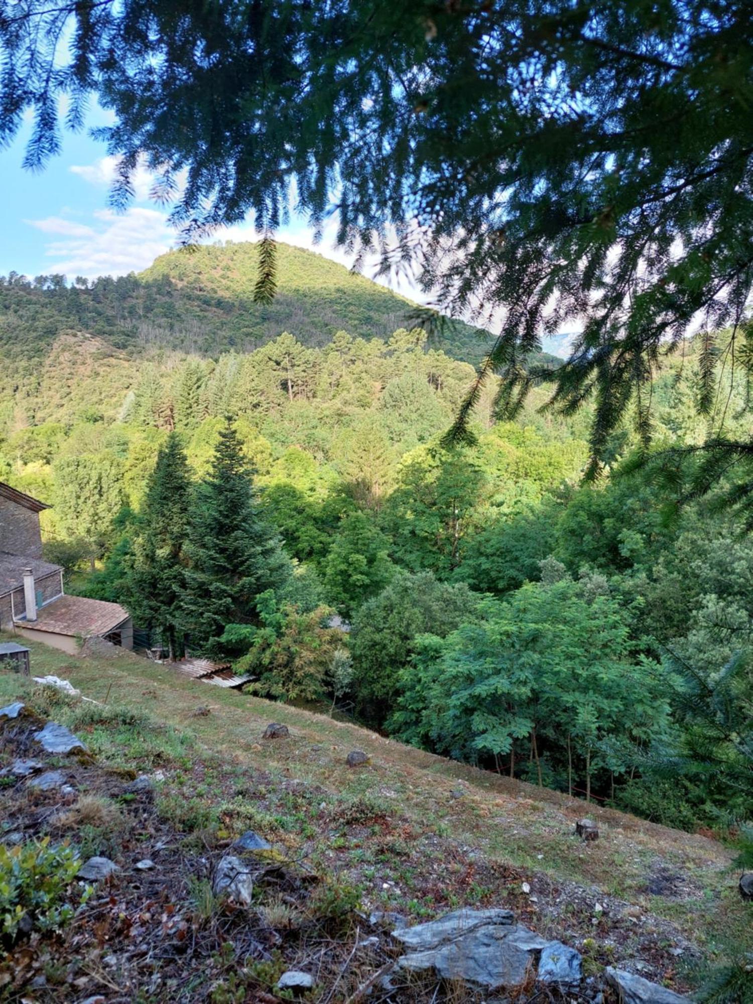 Gite Et Jardin En Bord De Riviere Saumane エクステリア 写真